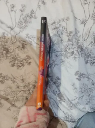 Princesas Dragón 13: En busca del arma secreta