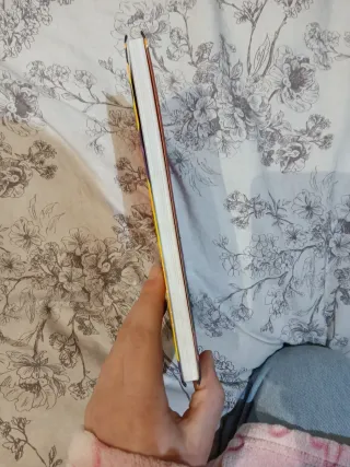 Princesas Dragón 13: En busca del arma secreta