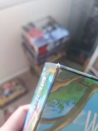 RATAS DE WISTAR C/INSERTO DE MADERA Juego de mesa