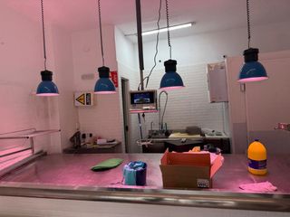 Mesa de pescadería acero inoxidable