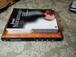 Ensayo sobre la ceguera (Spanish Edition)