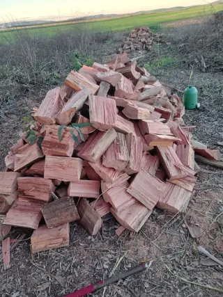 Arranque de olivos y limpieza de fincas