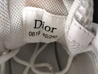 Sneakers Dior Uomo Bianche e Grigie