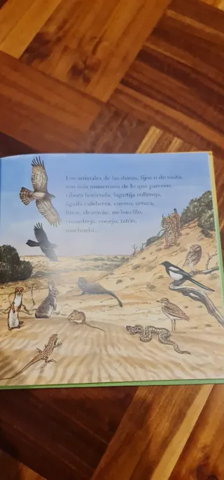 Libro EL GANSO Guía de DOÑANA para niños y adultos