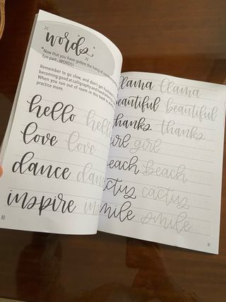 The Beginner's Guide to Modern Calligraphy and ...