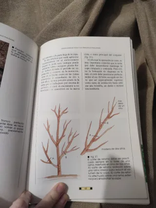 Guia Fotografica de la Poda