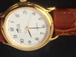 Reloj Lotus Mujer Marrón/Dorado