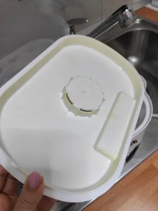 Vaporera Aigostar 12L