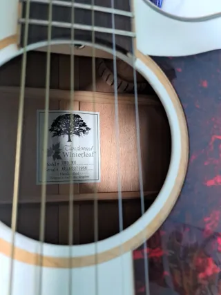 Guitarra Electroacústica Tanglewood Blanca