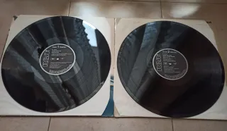 Set 2 Vinili John Denver 1984