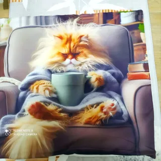 Funda de cojín gato naranja y gris