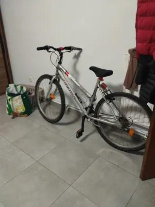 Bicicleta Gris