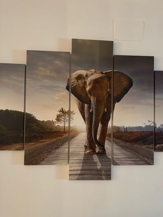 Cuadro 5 piezas elefante paisaje