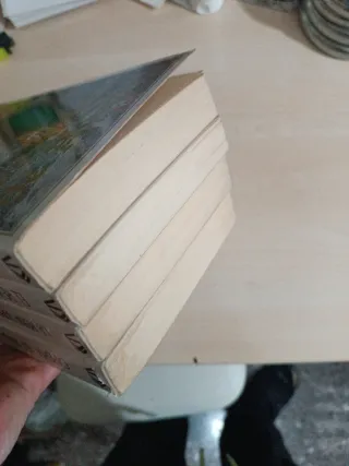 Las nieblas de Avalon (4 libros)