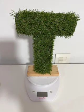 Peso para aves rapaces