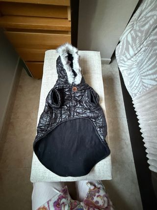 Ropa para perro: - Impermeable - Polar - Abrigo