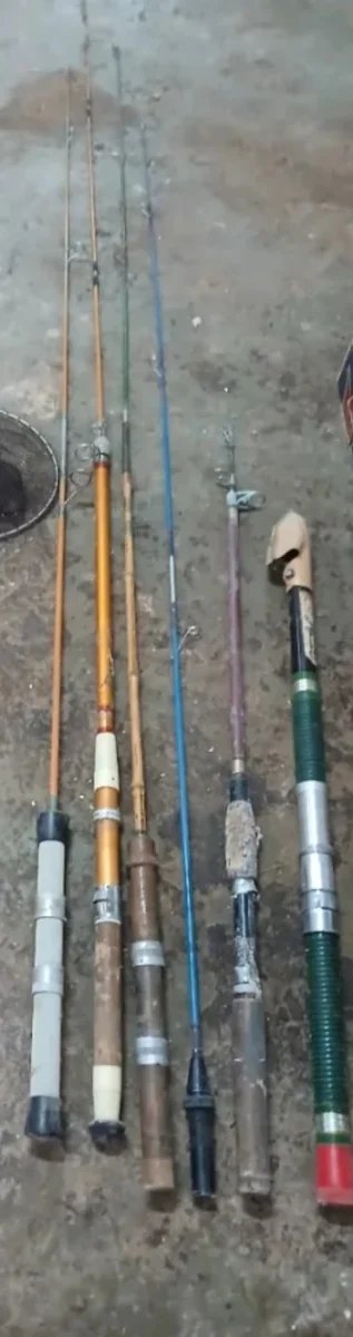 Lote cañas de pesca