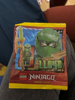 Lego Ninjago Lloyd Dragon Rising