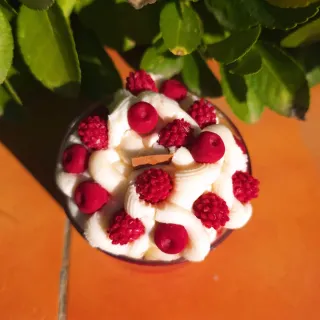 Vela aromática artesanal merengue