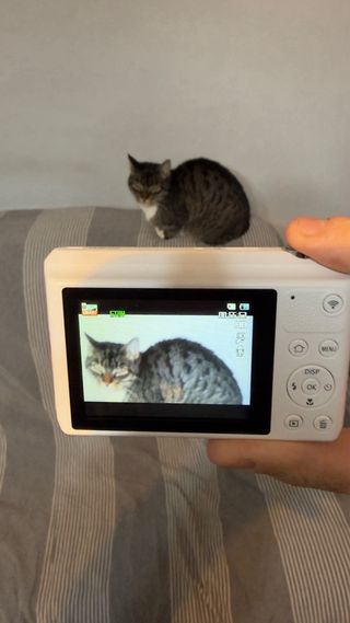 Samsung 12x Zoom Cámara Digital WiFi