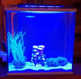 Acuario completo 34 l con filtro, luz y extras