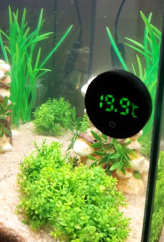 Acuario completo 34 l con filtro, luz y extras