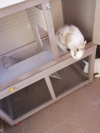 Jaula para conejos de dos niveles