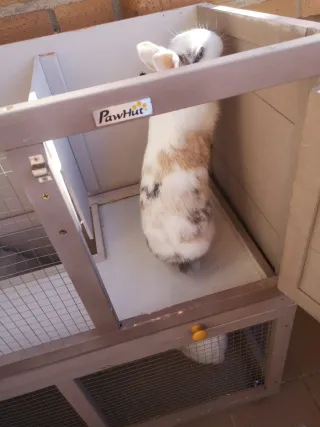 Jaula para conejos de dos niveles