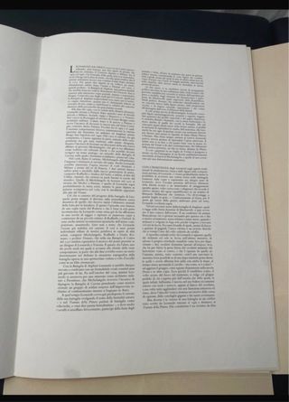 La Battaglia di Anghiari e le armi fantastiche