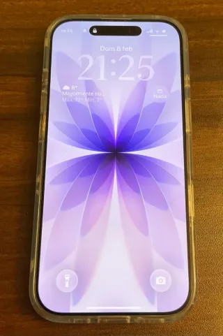 Funda Magsafe iPhone 17 Flores y Mariposas