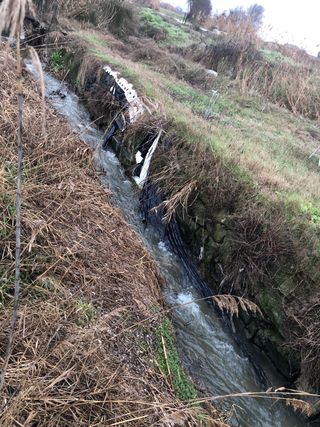 Huerto 1153 m2  con 11 olivos en Guissona algo