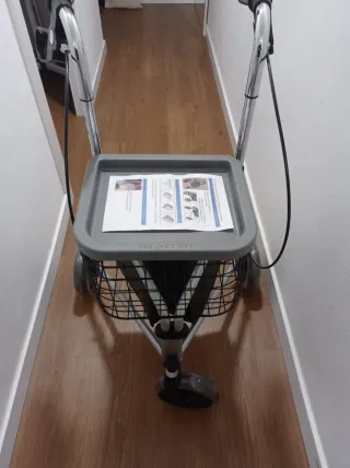 Andador 3 ruedas plata plegable