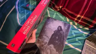 Una corte de rosas y espinas con overlays