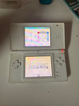 Nintendo DS Lite + cargador – Funciona perfecta