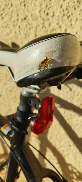 Bicicleta de Montaña Giant Amarilla/negra