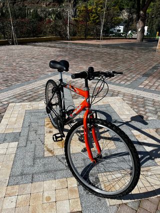 Bicicleta mediana