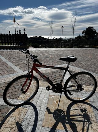 Bicicleta mediana