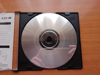 Juego Pc Torrente El Juego