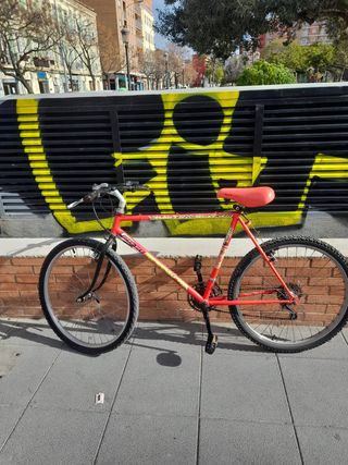 Bicicleta de Montaña