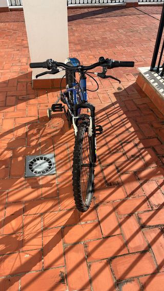 Bicicleta infantil azul con ruedines