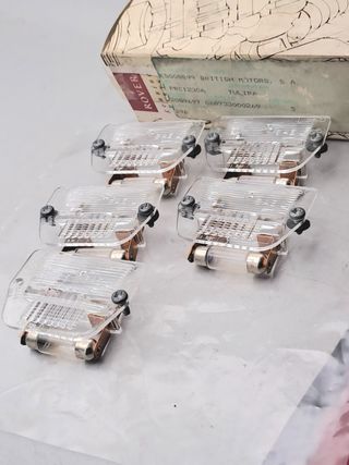 PRC1230A 5 x Tulipas matricula Mini clasico Rover