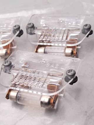 PRC1230A 5 x Tulipas matricula Mini clasico Rover