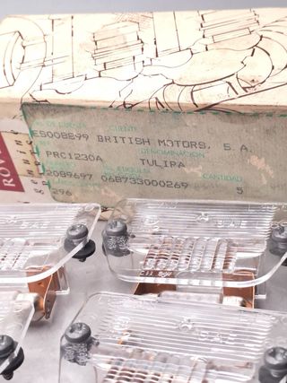 PRC1230A 5 x Tulipas matricula Mini clasico Rover