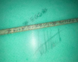 Tabla de surf Egg verde