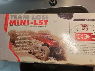 Team Losi Mini-LST