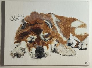 Cuadro personalizado de mascota