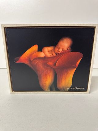 Cuadros Bebés Anne Geddes Flores
