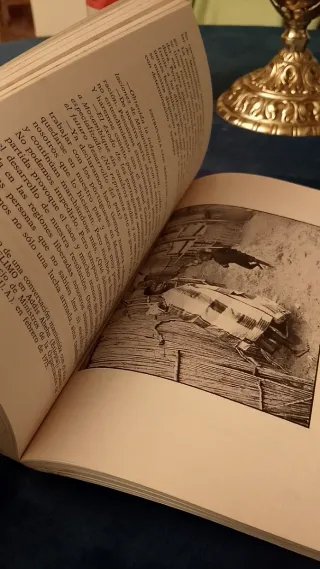 Africa en lucha (Punto crítico ; 15) (Spanish ...