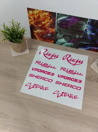 Pegatinas Rieju, Vforce3, Sherco (Rosa) Metal