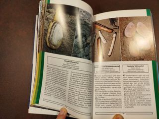 Düne, Strand und Wattenmeer Tiere und Pflanzen ...